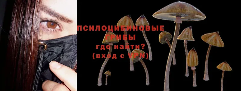 Галлюциногенные грибы MAGIC MUSHROOMS  купить наркотик  Ульяновск 